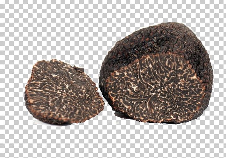 Périgord Black Truffle Piedmont White Truffle Tuber Aestivum Alba PNG, Clipart, Alba, Food, Fungus, Ingredient, Mushroom Free PNG Download