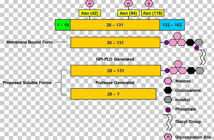 Document Organization Line Learning Brand PNG, Clipart, Area, Art, Brand, Diagram, Document Free PNG Download