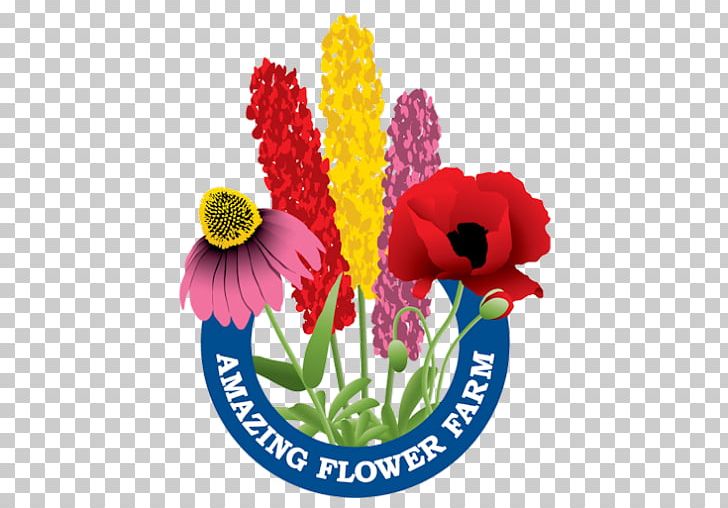 Floral Design Amazing Flower Farm Cut Flowers PNG, Clipart, Agricultural Machinery, Annual Plant, Cut Flowers, Family Farm, Farm Free PNG Download