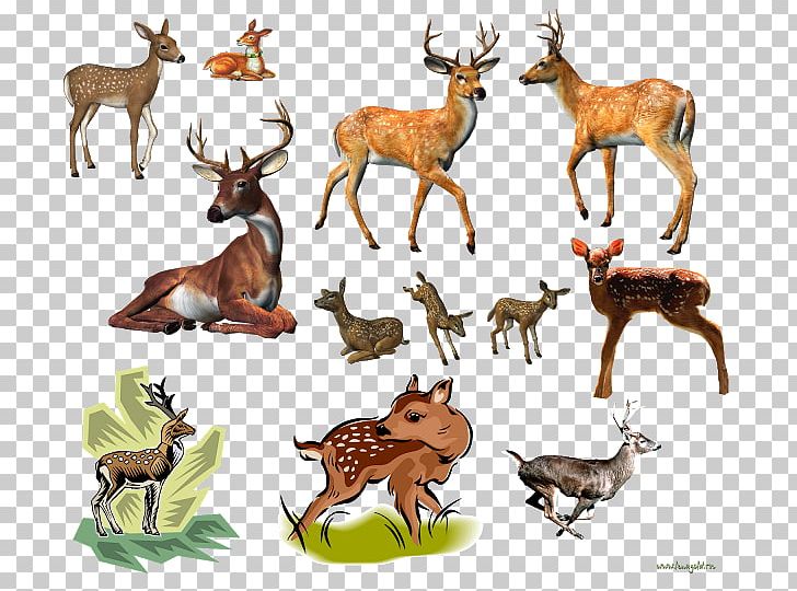 Reindeer Moose Elk PNG, Clipart, Animal Figure, Antler, Cartoon, Deer, Deer Horn Free PNG Download