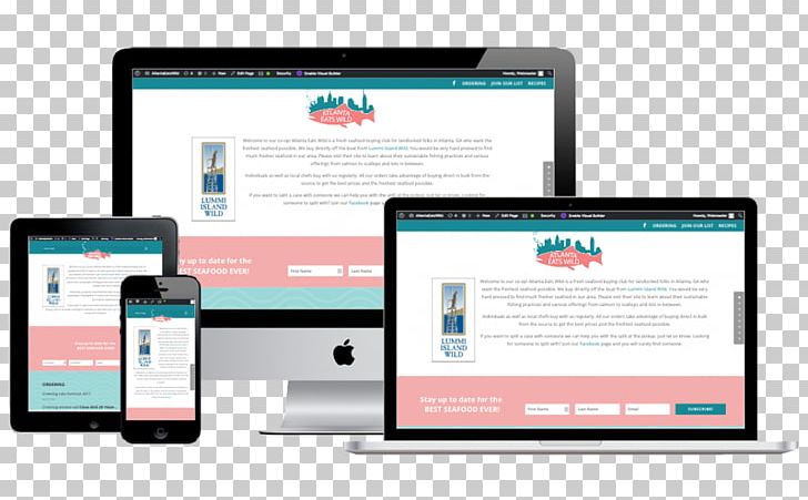 Responsive Web Design Web Development Professional Web Design PNG, Clipart, Brand, Business, Communication, Display Advertising, Display Device Free PNG Download