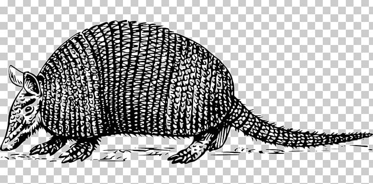 Armadillo PNG, Clipart, Animal, Animal Figure, Armadillo, Beaver, Black And White Free PNG Download