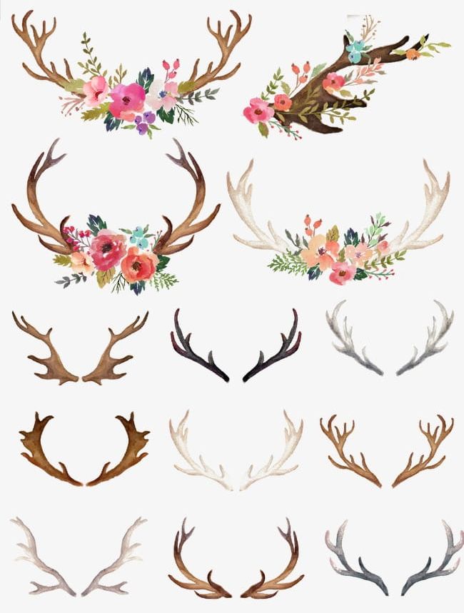Hand-painted Flowers Antlers PNG, Clipart, Antlers, Antlers Clipart, Flowers, Flowers Clipart, Hand Free PNG Download