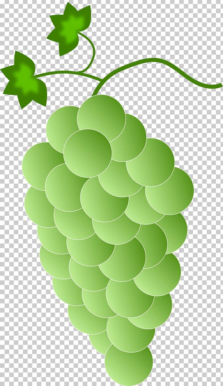Red Wine Common Grape Vine PNG, Clipart, Black Grapes, Circle, Clip Art, Common Grape Vine, Flowering Plant Free PNG Download