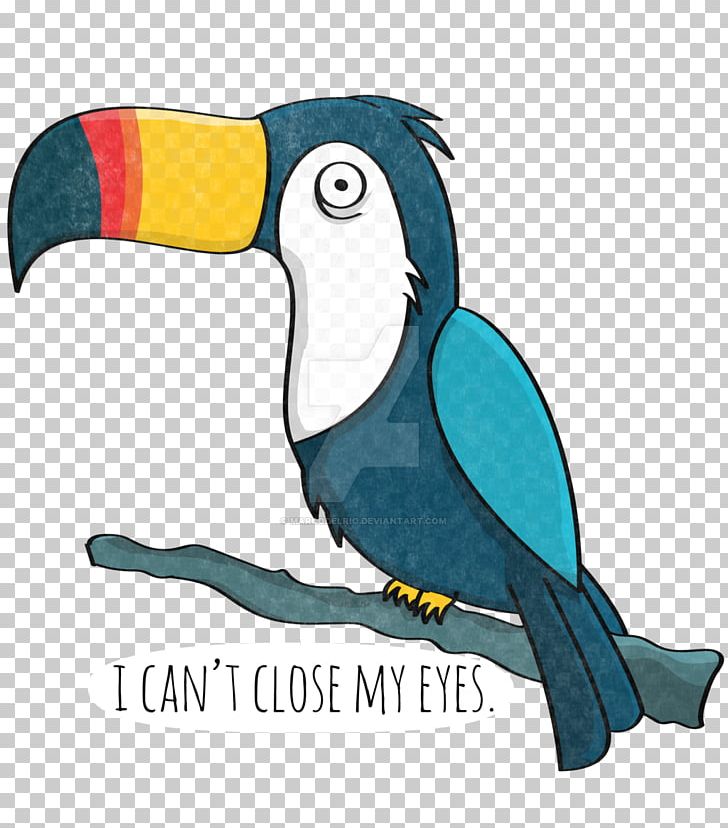 Rhett And Link Macaw Good Mythical Morning Toucan PNG, Clipart, Beak, Bird, Deviantart, Fan Art, Fauna Free PNG Download