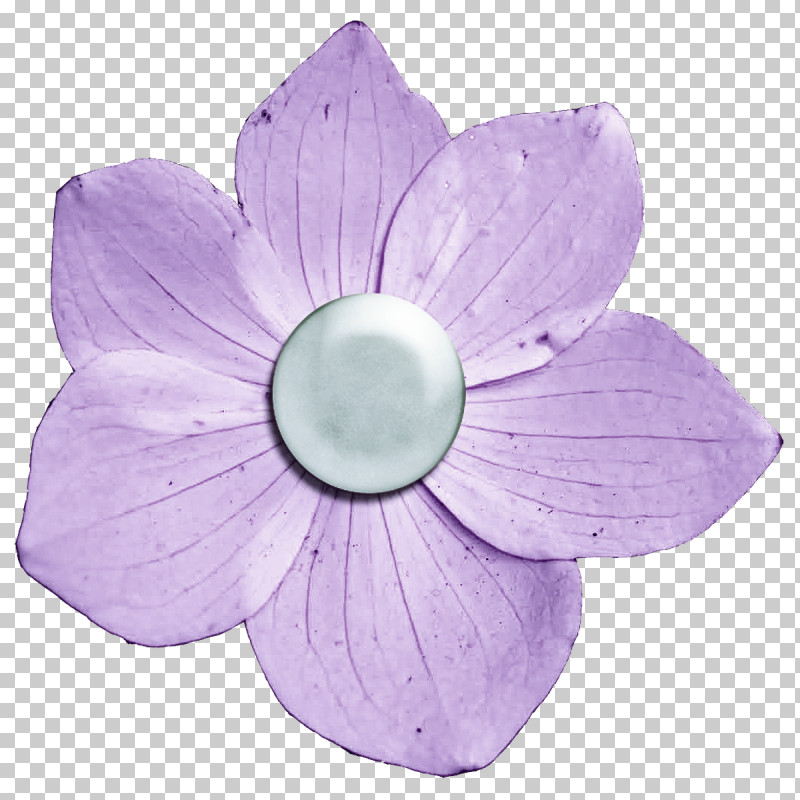 Petal Common Lilac Lilac PNG, Clipart, Common Lilac, Lilac, Petal Free PNG Download