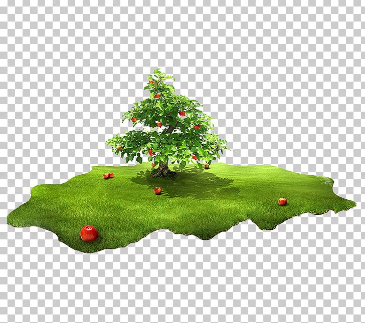 1080p High-definition Television High-definition Video 3D Computer Graphics PNG, Clipart, 3d Computer Graphics, Biome, Christmas Decoration, Desktop Computer, Fruit Free PNG Download