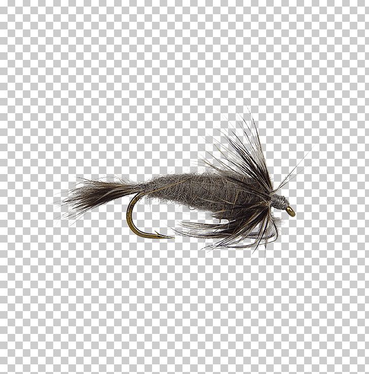 Artificial Fly Fly Fishing Hackles Mayfly PNG, Clipart, Artificial Fly, B H Photo Video, Card, Fishing, Fishing Bait Free PNG Download