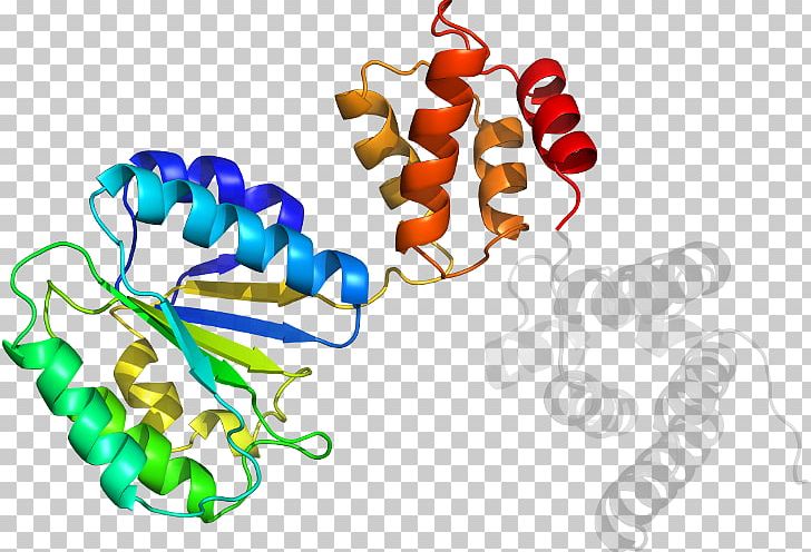 Body Jewellery Organism Line PNG, Clipart, Area, Body Jewellery, Body Jewelry, Dna Polymerase Delta, Jewellery Free PNG Download