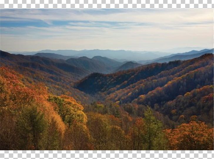 Clingmans Dome Knoxville National Park Hotel PNG, Clipart, Accommodation, Biome, Forest, Landscape, Leaf Free PNG Download