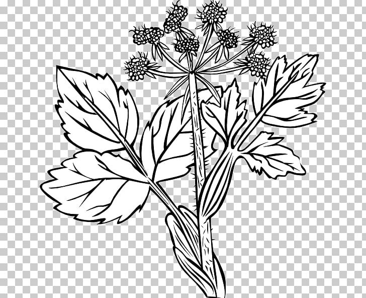 Drawing Black And White PNG, Clipart, Black And White, Branch, Cow Pattern, Cut Flowers, Download Free PNG Download