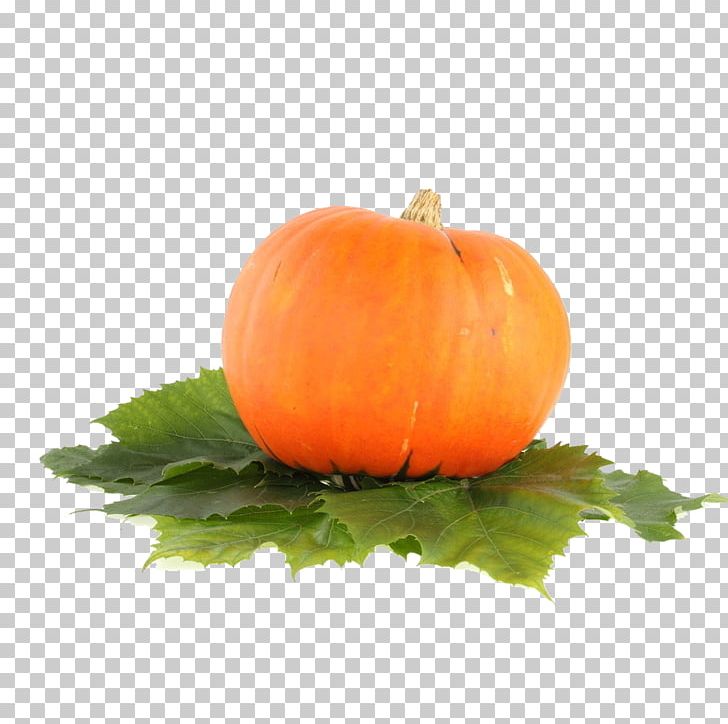 Pumpkin Jack-o-lantern Food Carving PNG, Clipart, Carving, Cucumber Gourd And Melon Family, Food, Fruit, Gourd Free PNG Download