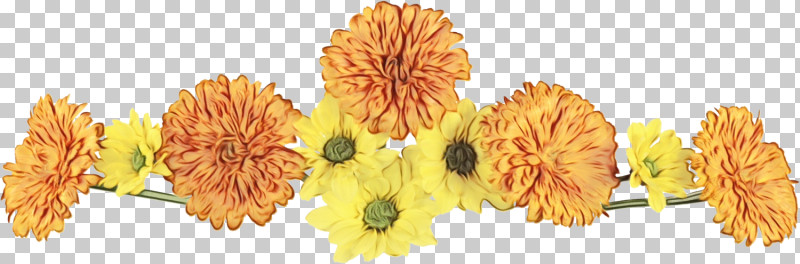 Sunflower PNG, Clipart, Cut Flowers, Floral Line, Flower, Flower Background, Flower Border Free PNG Download