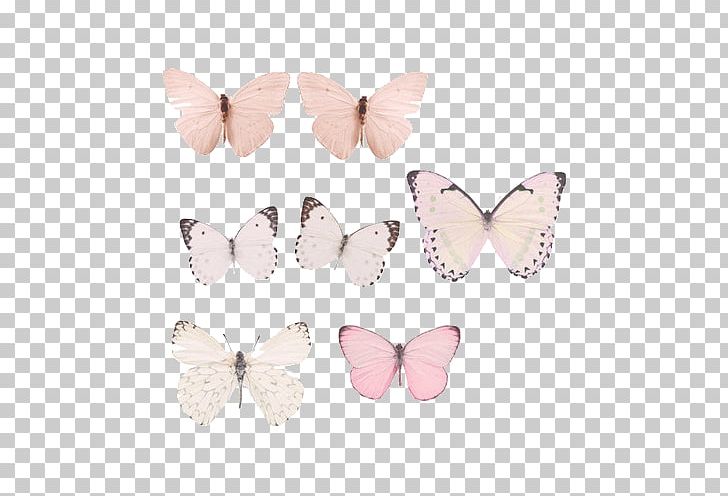 Butterfly Pastel Drawing Paper PNG, Clipart, Aesthetics, Art, Ask, Blue, Butterfly Free PNG Download
