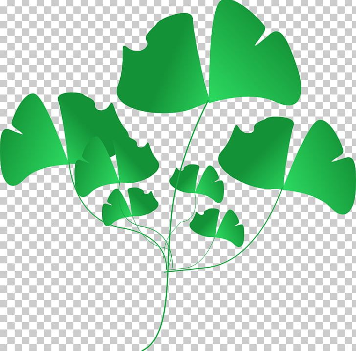 Leaf Branch Others PNG, Clipart, Branch, Computer Icons, Download, Green, Green Leaf Free PNG Download