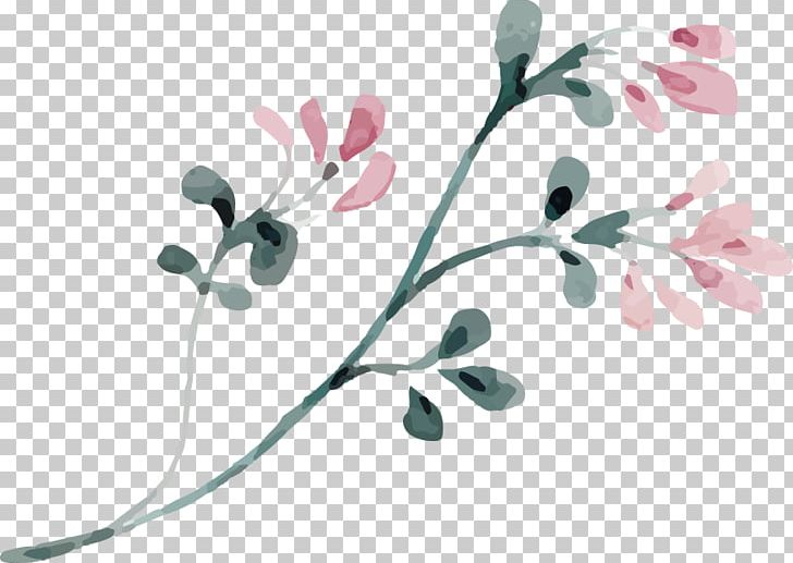 Photography Ta No PNG, Clipart, Branch, Flora, Flower, Flowering Plant, Others Free PNG Download