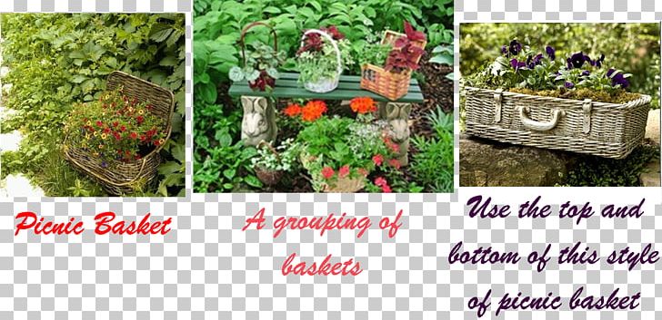 Tree Herb Shrub Meter Yard PNG, Clipart, Flora, Flowerpot, Garden, Grass, Herb Free PNG Download