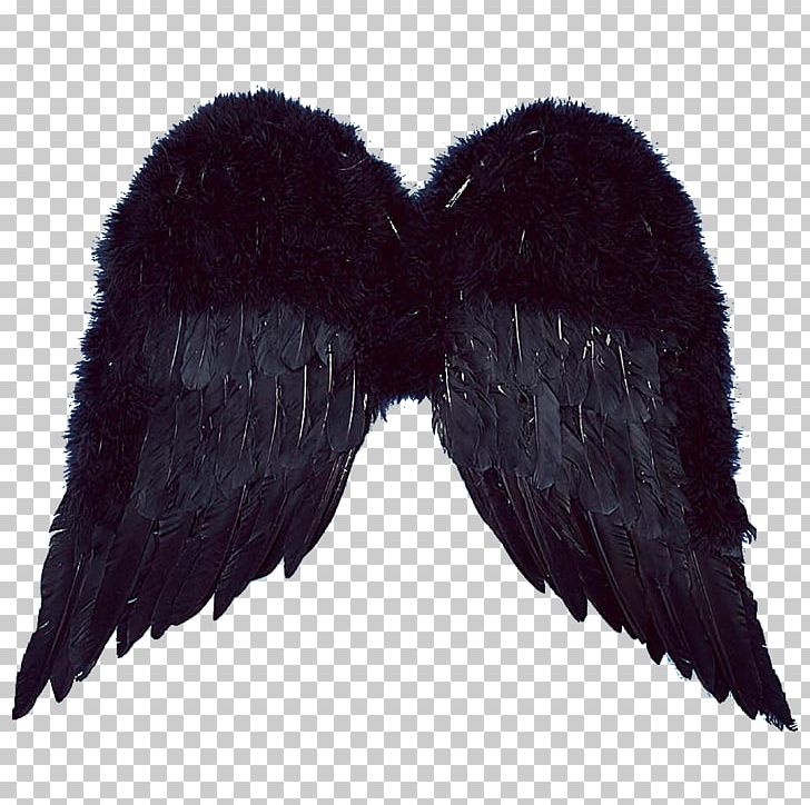 Wing Standard Test Raster Graphics Editor PNG, Clipart, Feather, Fur, Hands Up, Miscellaneous, Negative Free PNG Download