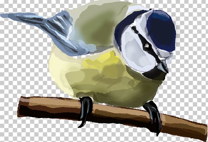 Bird House Sparrow Thrush Eurasian Blue Tit PNG, Clipart, Animal, Animals, Beak, Bird, Blue Bird Free PNG Download