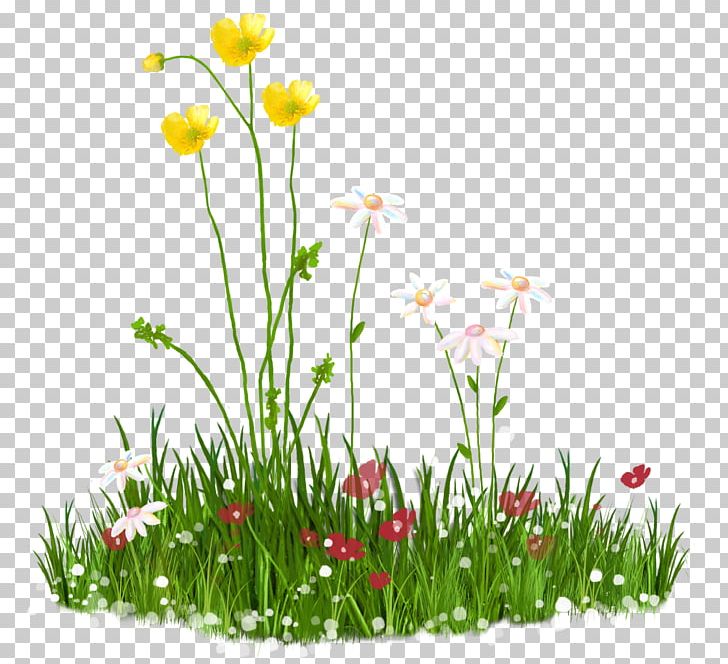 Flower Lawn PNG, Clipart, Annual Plant, Flower, Flower Garden, Flowering Plant, Grass Free PNG Download