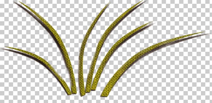 Leaf Grasses Plant Stem Green PNG, Clipart, Angle, Background Green, Cartoon, Diagram, Family Free PNG Download