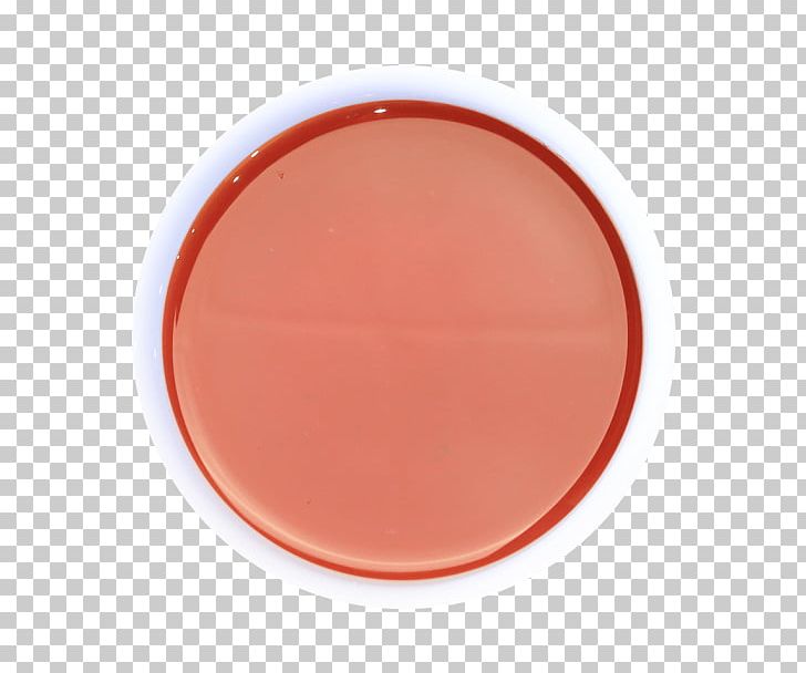 Circle PNG, Clipart, Circle, Dishware, Education Science, Orange, Oval Free PNG Download