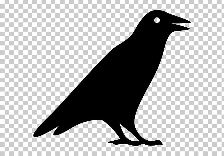 Computer Icons Halloween PNG, Clipart, Beak, Bird, Black And White, Cdr, Computer Icons Free PNG Download