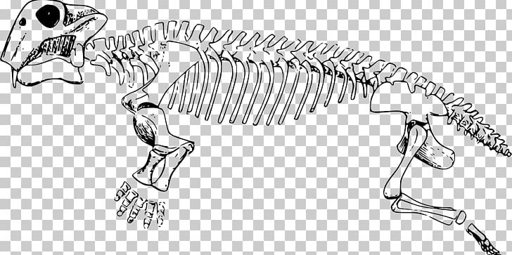 Lystrosaurus Triassic Skeleton University Of California Museum Of Paleontology Pangaea PNG, Clipart, Animal Figure, Artwork, Black And White, Bone, Carnivoran Free PNG Download