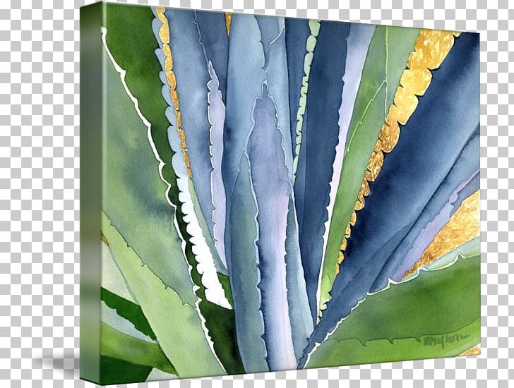 Canvas Print Printing Watercolor Painting Art PNG, Clipart, Agave, Agave Azul, Aloe, Animals, Art Free PNG Download