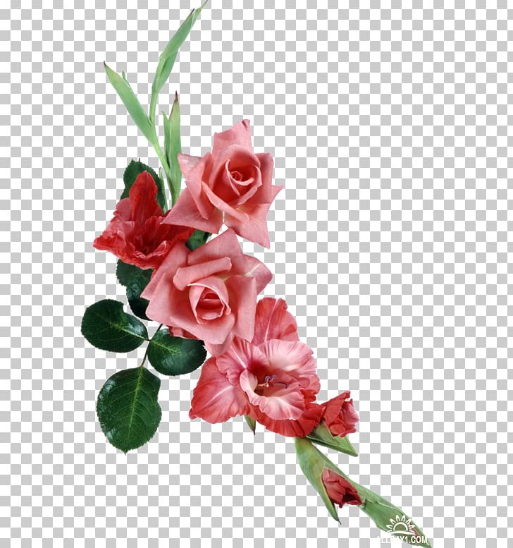 Portable Network Graphics JPEG File Format Computer File PNG, Clipart, Carnation, Cdr, Cut Flowers, Digital Image, Download Free PNG Download