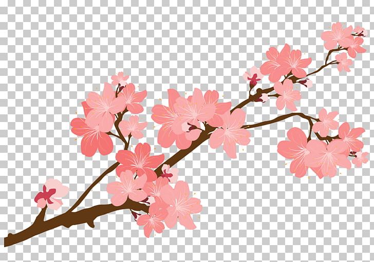 Cherry Blossom Sticker PNG, Clipart, Art, Blossom, Branch, Cherry