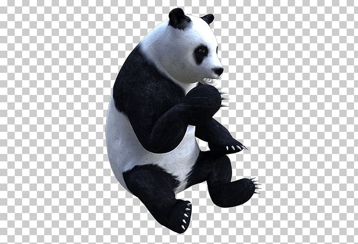 Giant Panda Stuffed Animals & Cuddly Toys Snout PNG, Clipart, Bear, Carnivoran, Fur, Giant Panda, Plush Free PNG Download