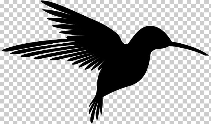 Hummingbird Silhouette PNG, Clipart, Beak, Bird, Black And White, Clip Art, Ducks Geese And Swans Free PNG Download