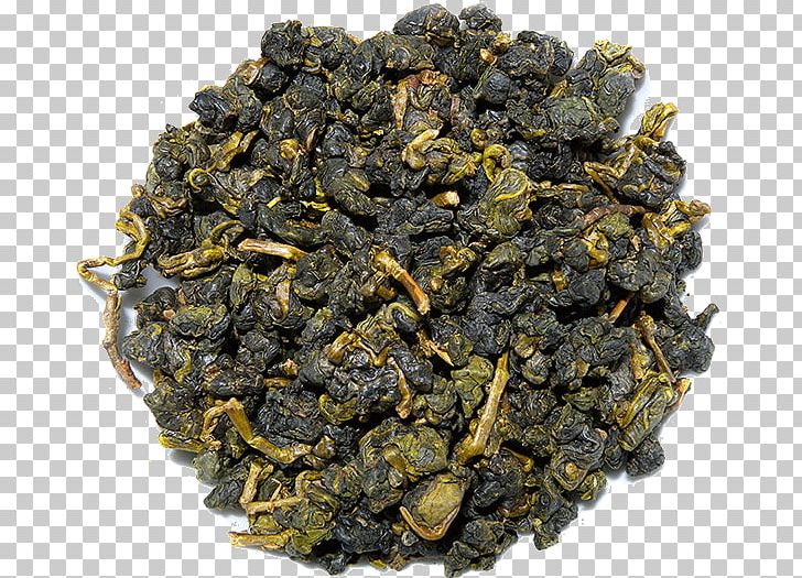 Oolong Nilgiri Tea Gunpowder Tea Earl Grey Tea PNG, Clipart, Assam Tea, Biluochun, Ceylon Tea, Da Hong Pao, Darjeeling Tea Free PNG Download