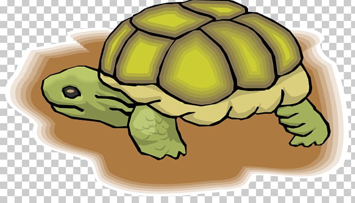 Tortoise Sea Turtle Wasserschildkröten PNG, Clipart, Chaco Tortoise, Fauna, Hand, Material, Organism Free PNG Download