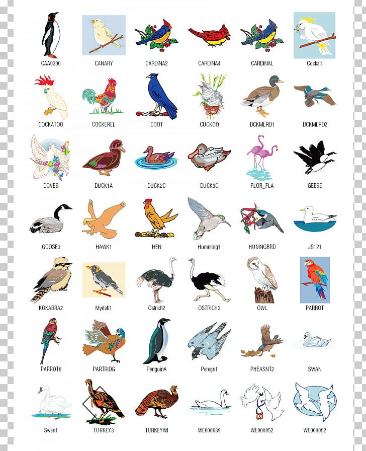 Bird Free Content PNG, Clipart, Artwork, Bird, Desktop Wallpaper, Download, Footwear Free PNG Download