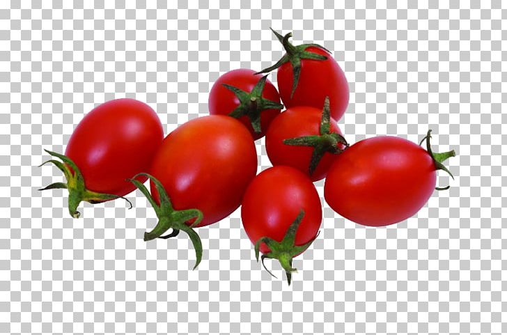 Cherry Tomato Vegetable Food Auglis Side Dish PNG, Clipart, Auglis, Bush Tomato, Che, Cherry, Eating Free PNG Download