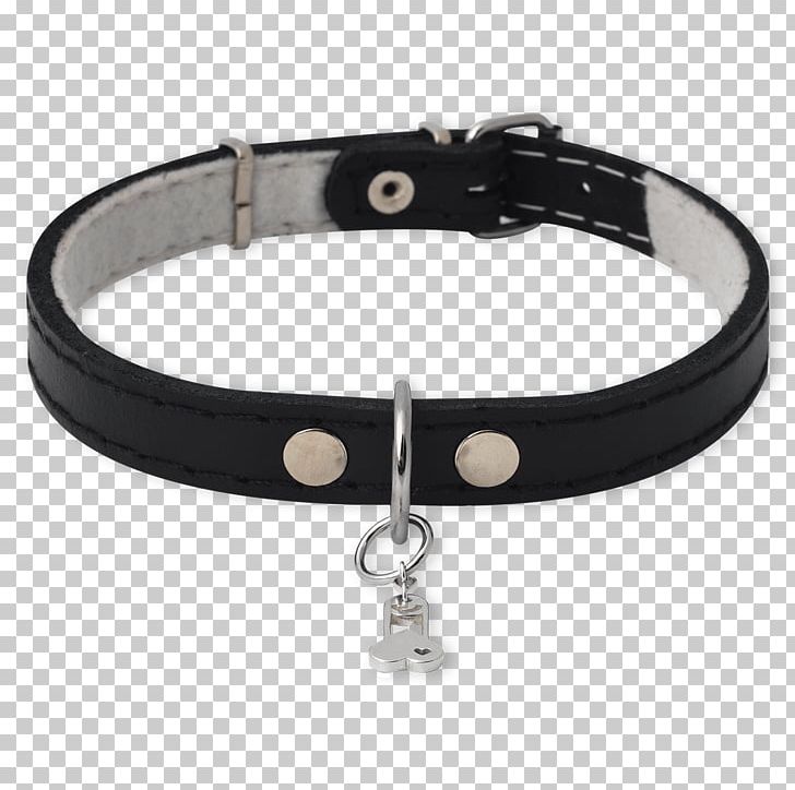 Dog Collar Belt Buckles PNG, Clipart, Animals, Belt, Belt Buckle, Belt Buckles, Black Free PNG Download