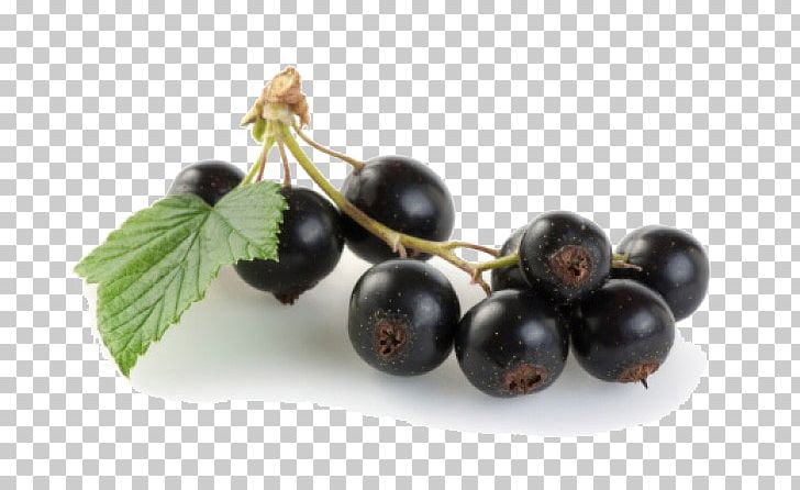 Java Plum Fruit PNG, Clipart, Berry, Bilberry, Blackberry, Blood Sugar, Blueberry Free PNG Download