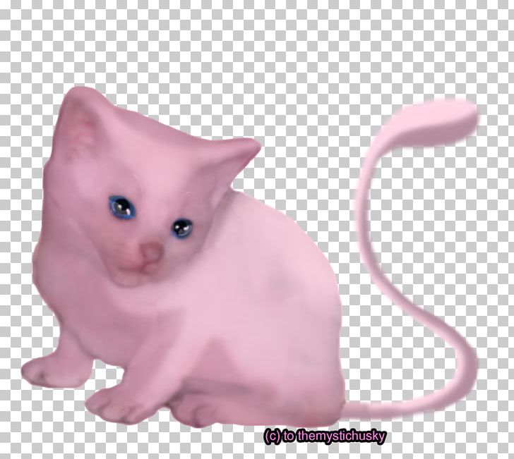 Kitten Mewtwo Cat Whiskers PNG, Clipart, Airbrush, Animals, Art, Burmese, Carnivoran Free PNG Download