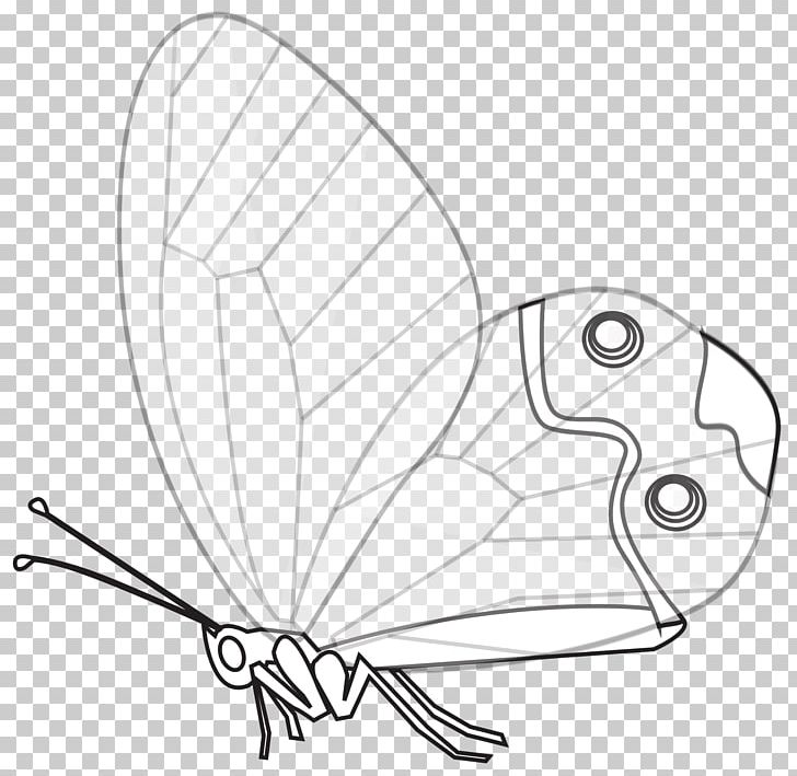 Papillon Dog Butterfly Line Art Black And White Drawing PNG, Clipart, Angle, Artwork, Black, Black And White, Brush Footed Butterfly Free PNG Download