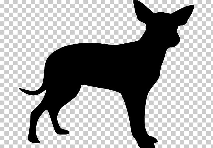 Puppy Chihuahua Labrador Retriever Scottish Terrier PNG, Clipart, Animals, Black, Black And White, Carnivoran, Chihuahua Free PNG Download