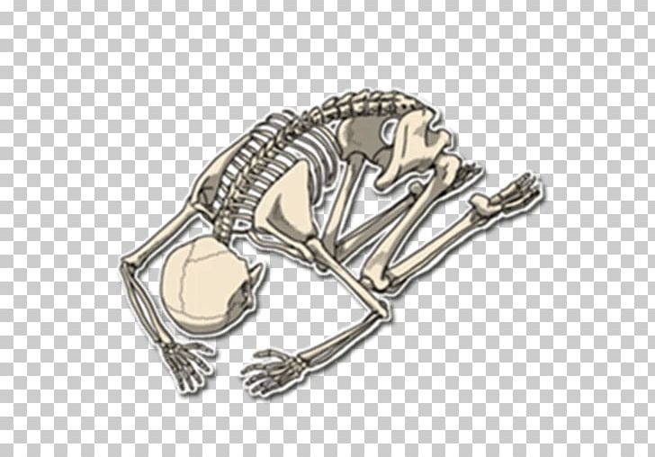 Skeleton Sticker Telegram Messaging Apps PNG, Clipart, Body Jewellery, Body Jewelry, Fantasy, Fashion Accessory, Hand Free PNG Download