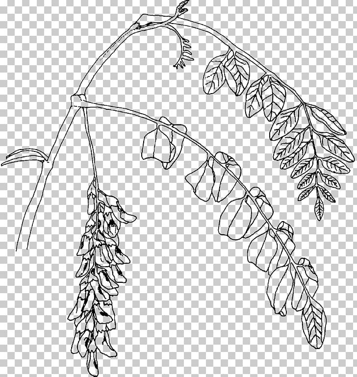 Twig Plant Stem Leaf Line Art PNG, Clipart, Black And White, Black Locust, Body Jewellery, Body Jewelry, Branch Free PNG Download