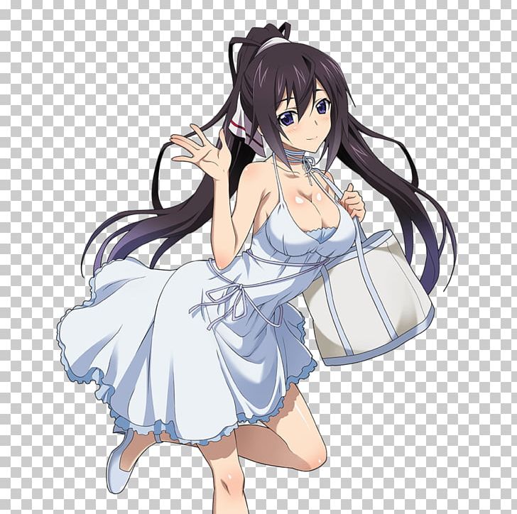 Anime Manga Infinite Stratos Otaku Kavaii PNG, Clipart, 4chan, Anime, Arm, Artwork, Black Hair Free PNG Download