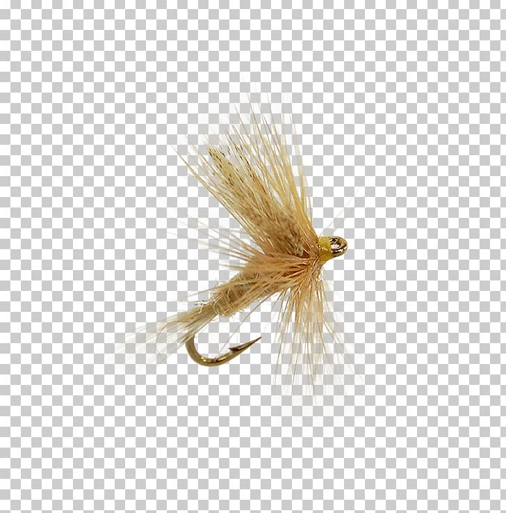 Insect Artificial Fly PNG, Clipart, Artificial Fly, Fly, Fly Tying, Insect, Invertebrate Free PNG Download