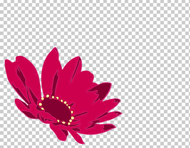 Transvaal Daisy Cut Flowers Petal Magenta Telekom Flower PNG, Clipart, Cut Flowers, Flower, Magenta Telekom, Paint, Petal Free PNG Download