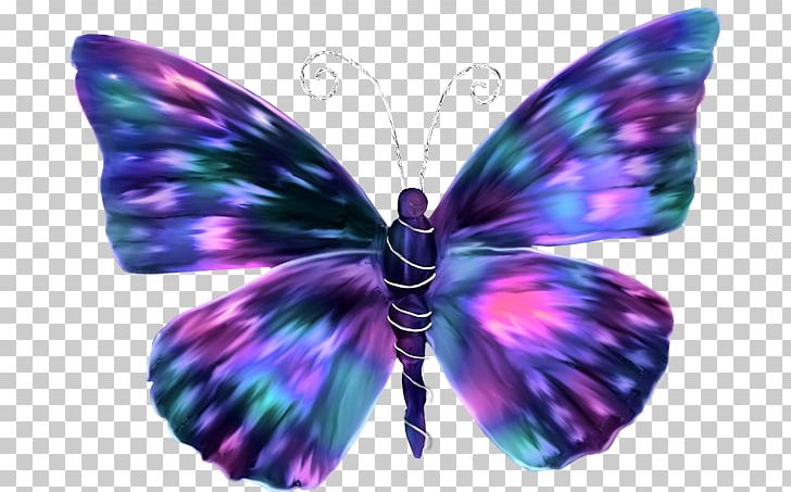 Butterfly Butterflies In Colour Insect Paper Color PNG, Clipart, Brush Footed Butterfly, Butterflies And Moths, Butterflies In Colour, Butterfly Group, Butterfly Wings Free PNG Download
