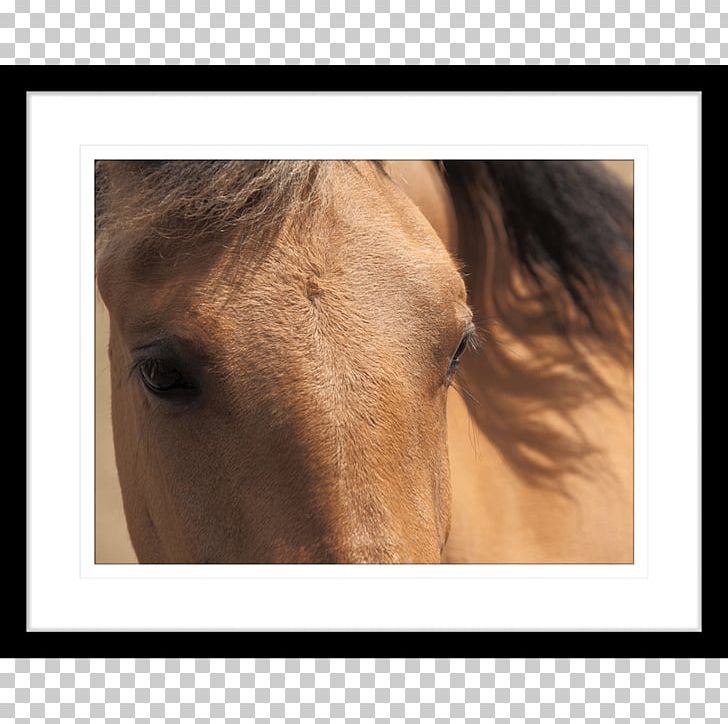 Horse Work Of Art Innovate Interiors Pony PNG, Clipart, Animals, Art, Bridle, Contemporary Art, Director Free PNG Download
