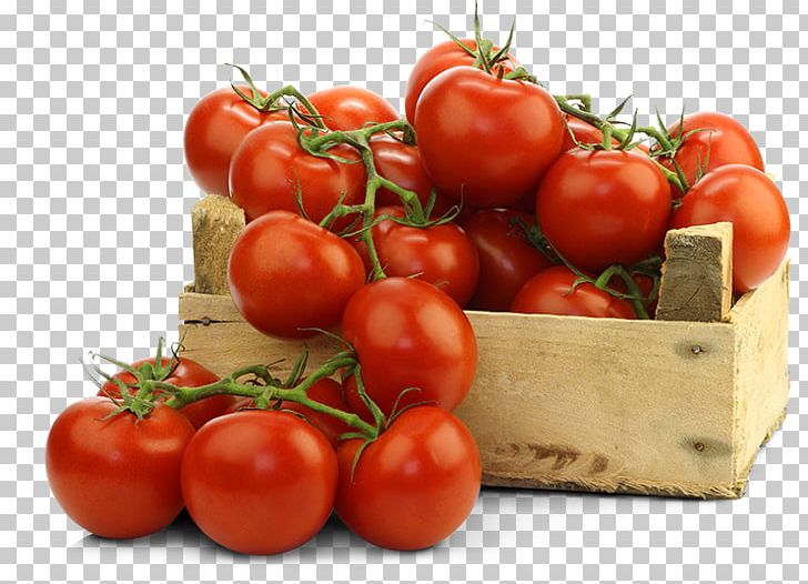 Tomato Organic Food Cultivar Fertilisers PNG, Clipart, Aretus, Bush Tomato, Carotene, Crop Yield, Cultivar Free PNG Download